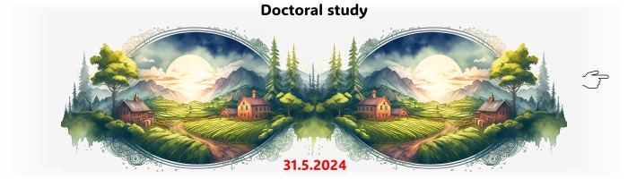 doctoral study